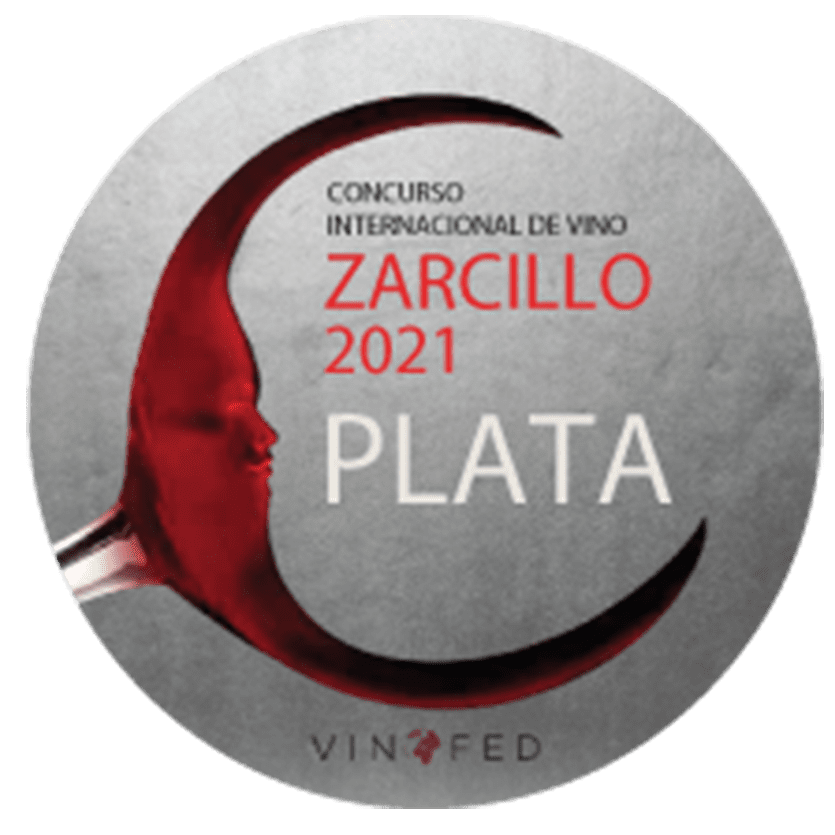 zarcillo-plata-2021